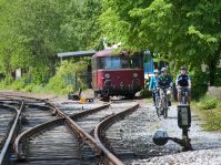 Auen Radweg © Touristikzentrale Paderborner Land / Reinhard Rohlf